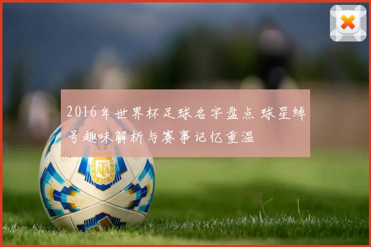 2016年世界杯足球名字盘点 球星绰号趣味解析与赛事记忆重温