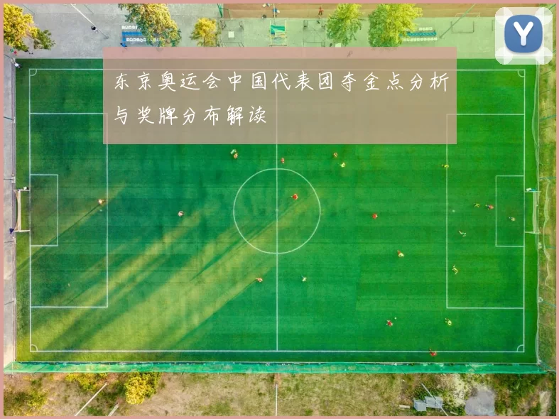 东京奥运会中国代表团夺金点分析与奖牌分布解读