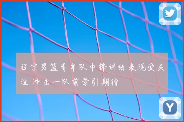 辽宁男篮青年队中锋训练表现受关注 冲击一队前景引期待