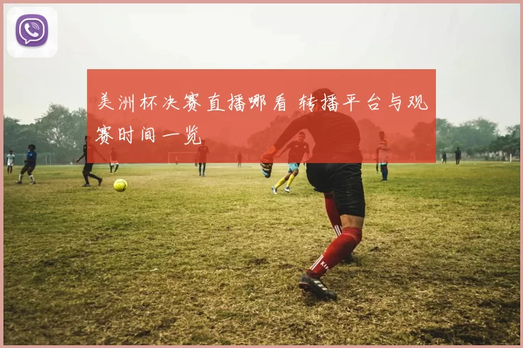 美洲杯决赛直播哪看 转播平台与观赛时间一览