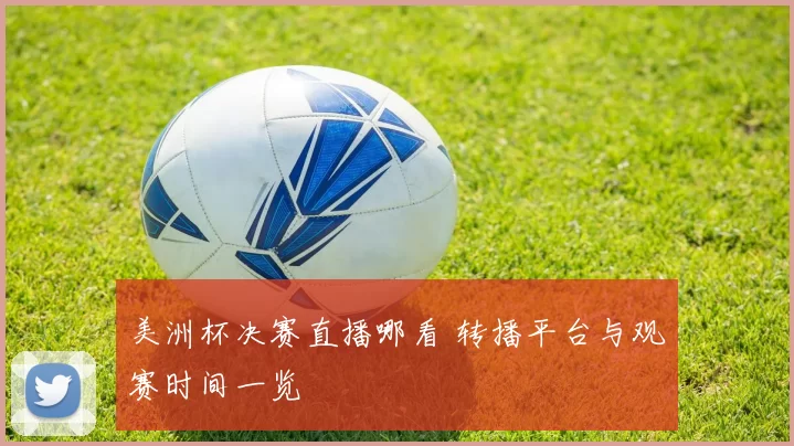 美洲杯决赛直播哪看 转播平台与观赛时间一览