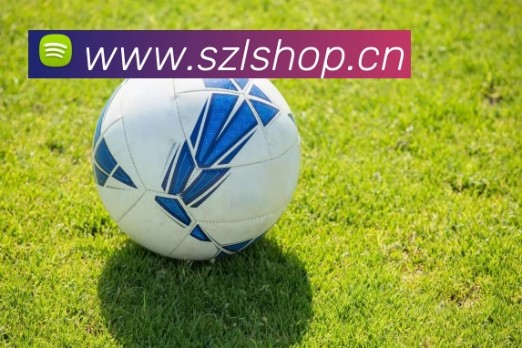 hth官方网页入口 - hth(中国)服务体系